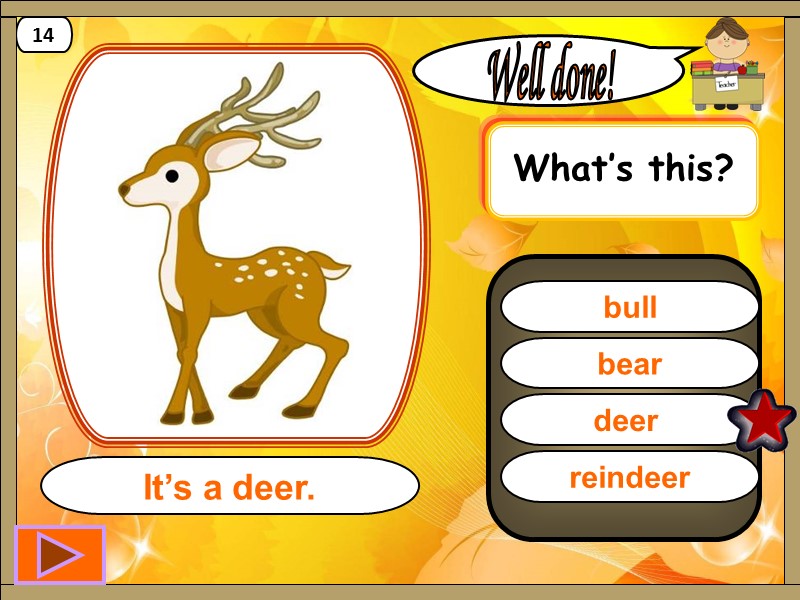 deer  Well done! It’s a deer. 14 bear bull reindeer What’s this?